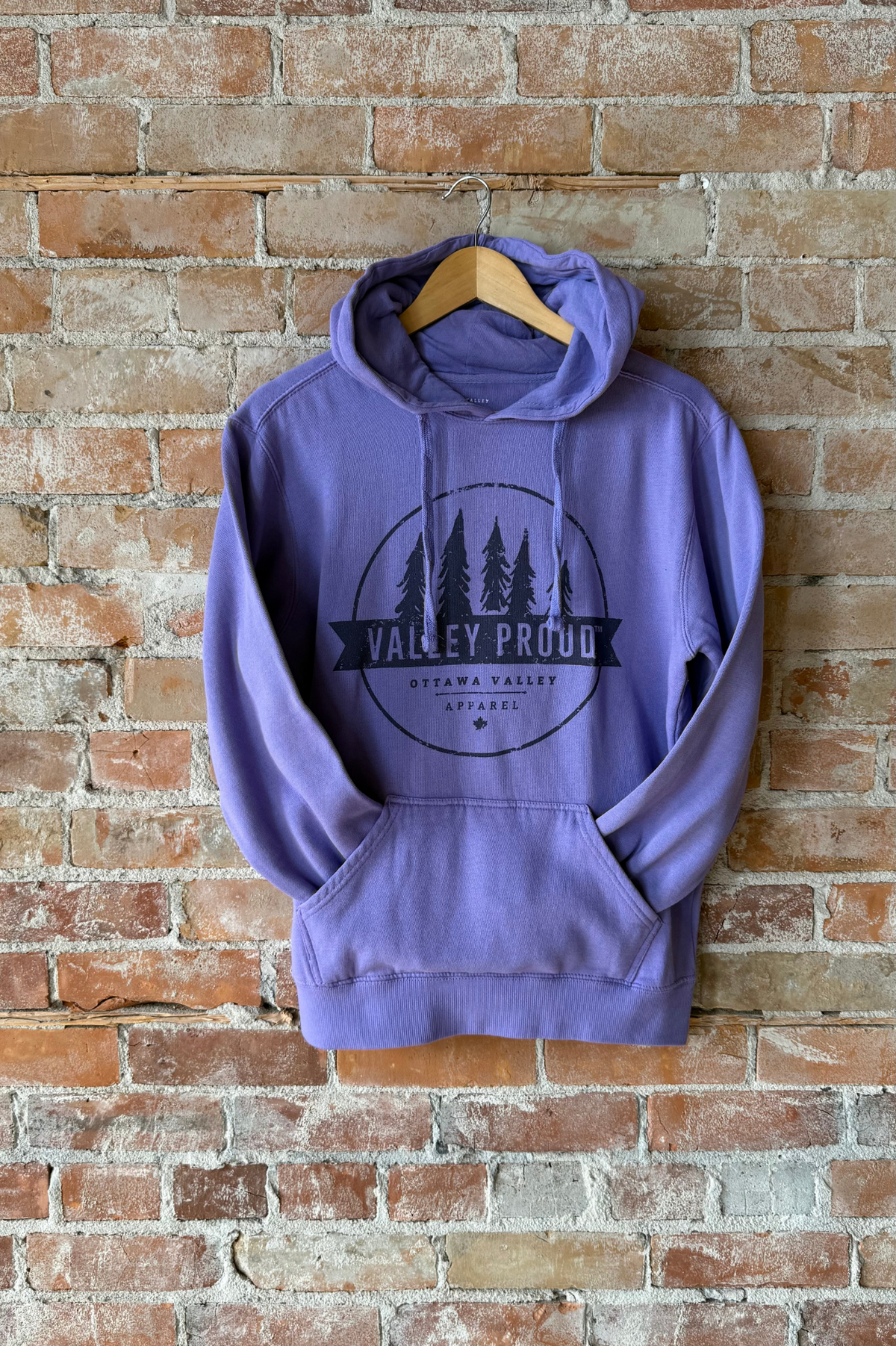 Valley Proud Two Tone Hoodie - Violet
