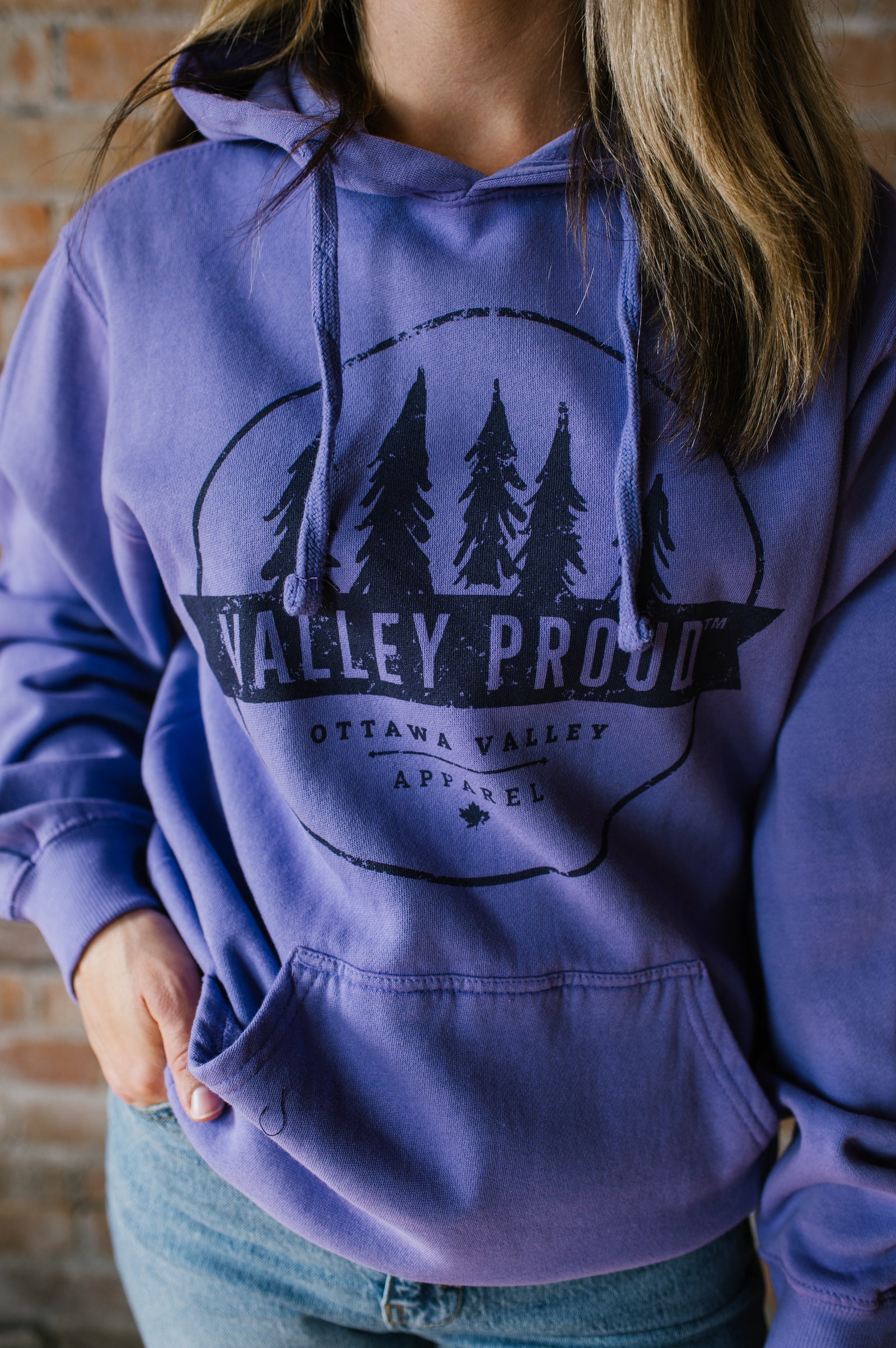 Valley Proud Two Tone Hoodie - Violet