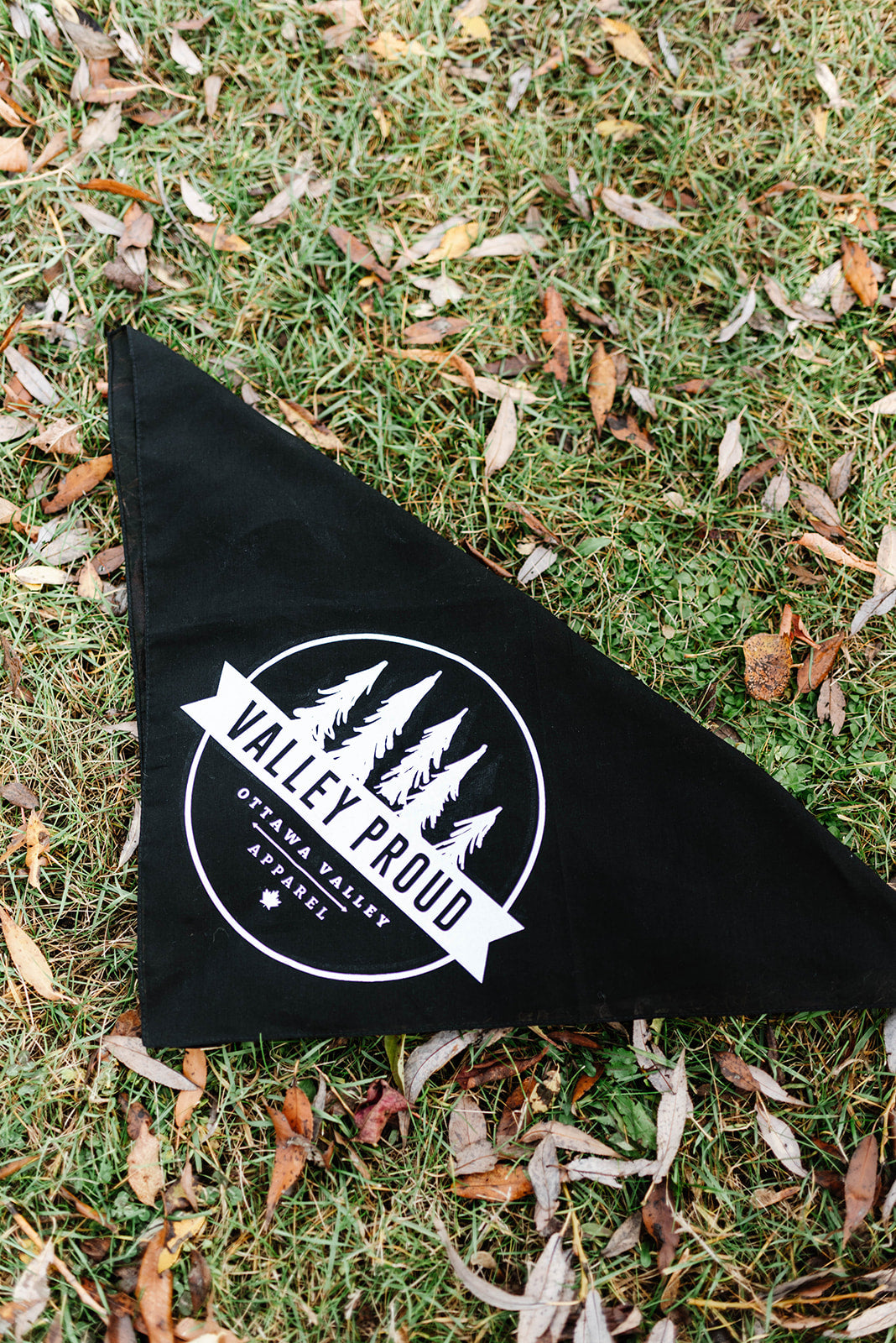 Valley Proud Dog Bandana