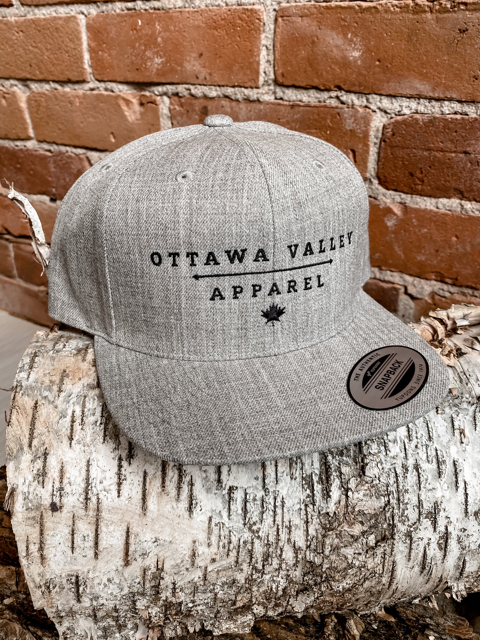 OVA Logo Snap Back Hat - Grey